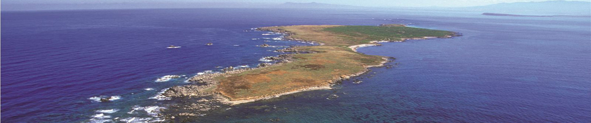 Marine Data Sardinia